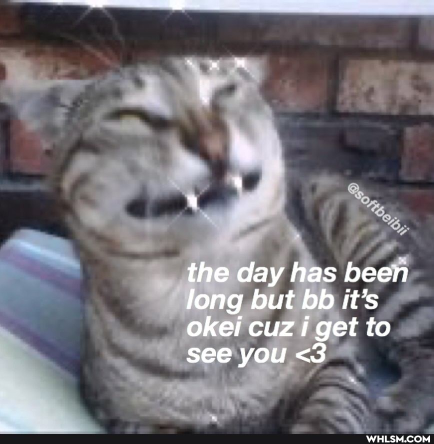 the day has been long but bb it's okei cuz i get to see you <3