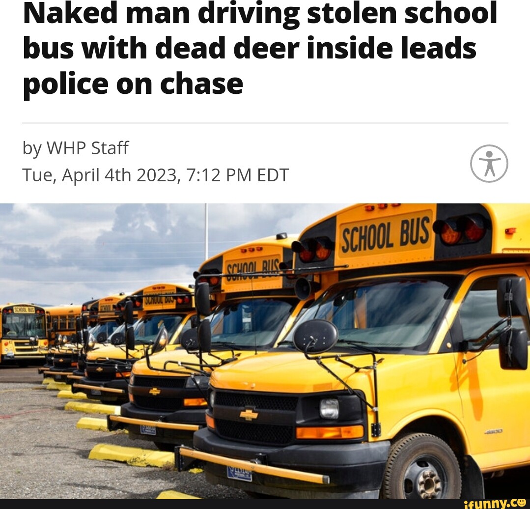 Naked man driving stolen school bus with dead deer inside leads police ...
