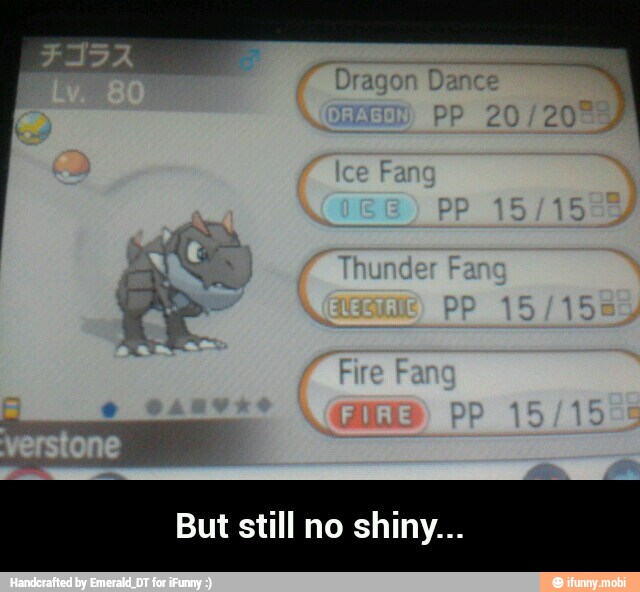 But still no shiny... - But still no shiny...