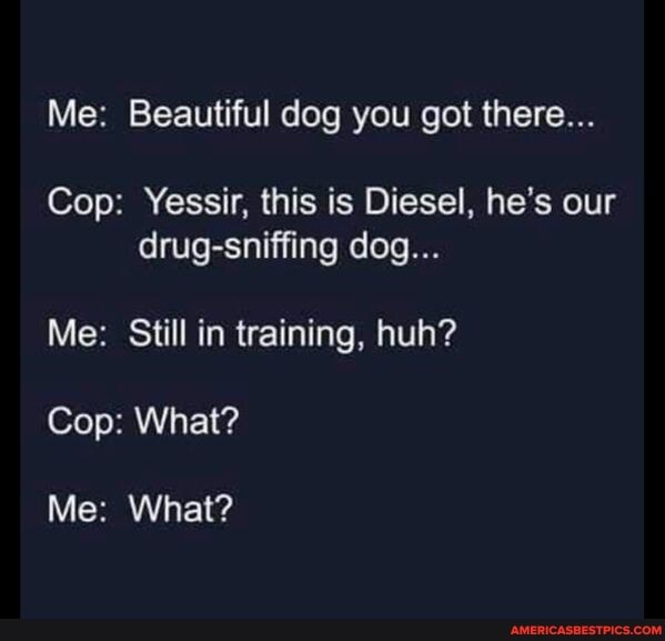 Me: Beautiful dog you got there...
Cop: Yessir, this is Diesel, he's our drug-sniffing dog...
Me: Still in training, huh?
Cop: What?
Me: What?