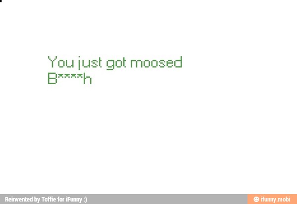 'You just got moosed