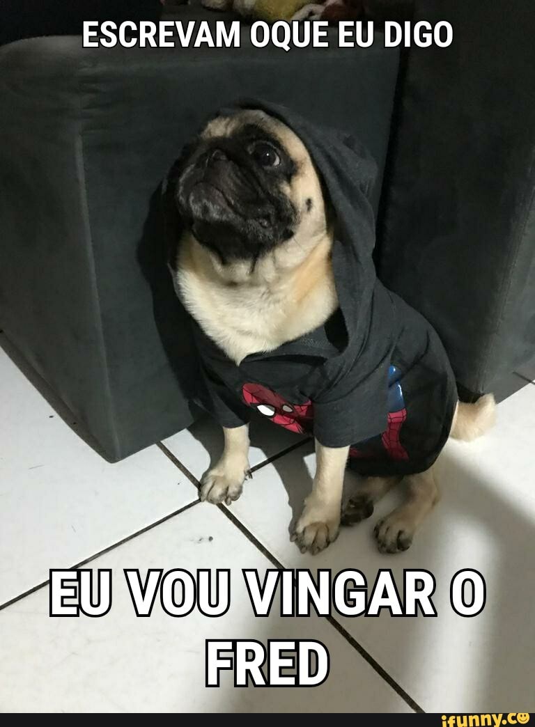 ESCREVAM OQUE EU DIGO