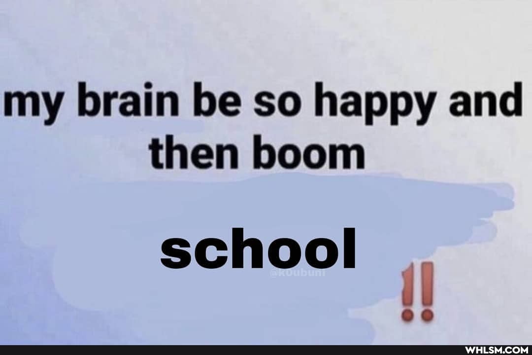 my brain be so happy and then boom
school