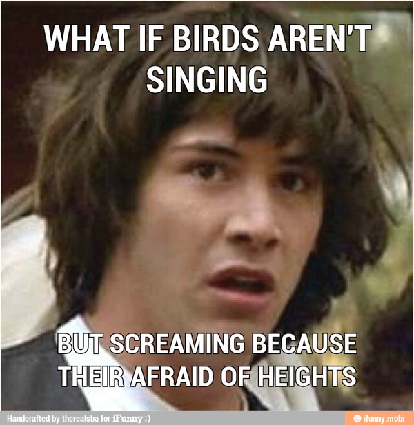 WHAT IF BIRDS AREN'TÍ*
SINGING
Gli, SCREAMING BEGAUSE
THEIRRAFRAID
OR(AEIGHTS
