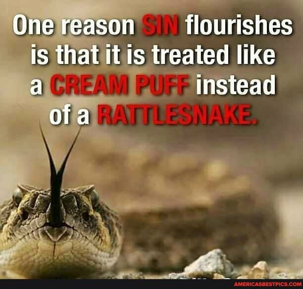 One reason flourishes is that it is treated like instead
ofa