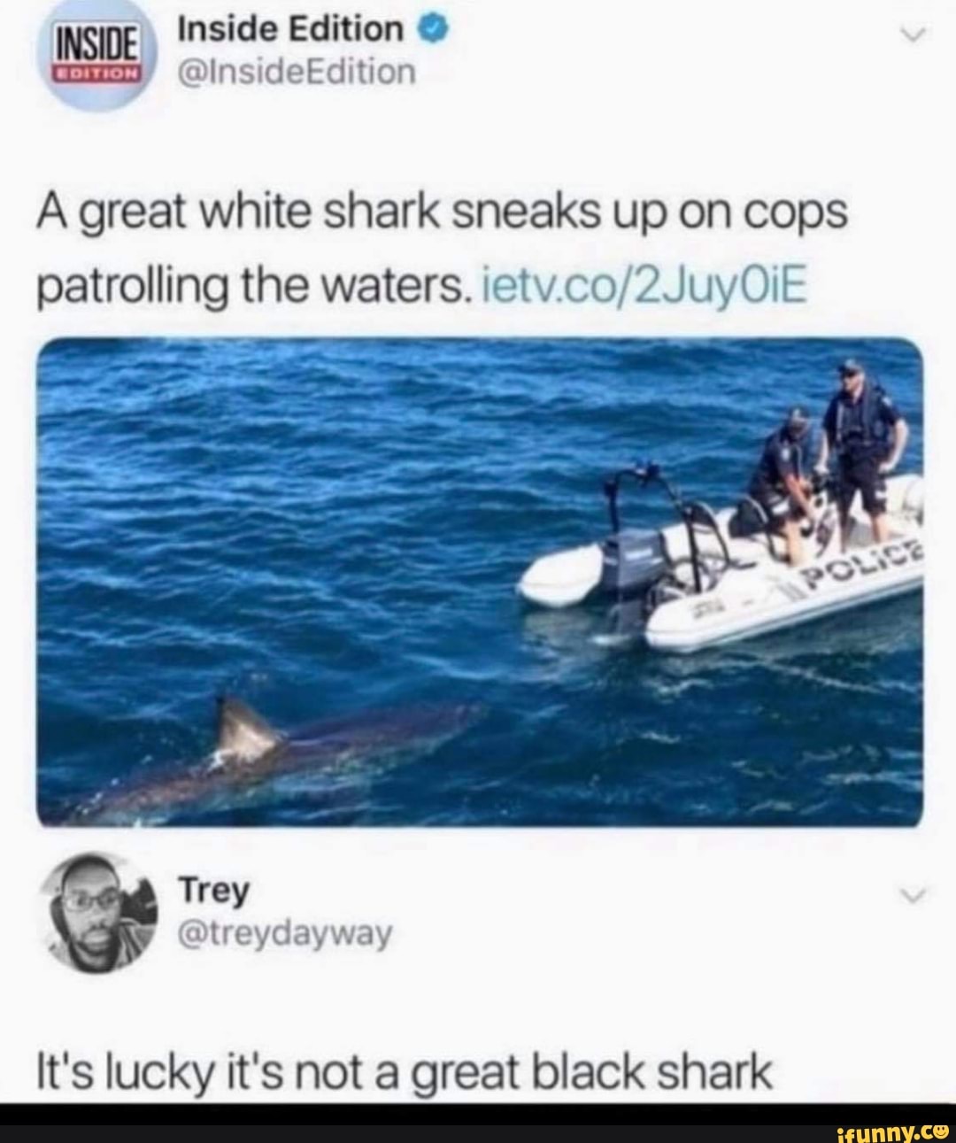 INSI Inside Edition @
A great white shark sneaks up on cops patrolling the waters. cv co,
Trey
It's lucky it's not a great black shark