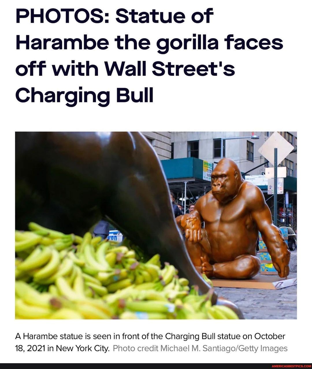 PHOTOS Statue of Harambe the gorilla faces off with Wall Street's