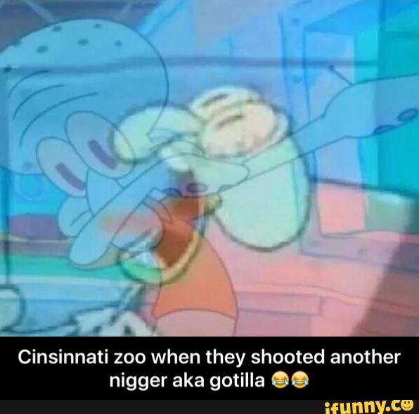 Cínsinnati 200 when they shooted another
nigger aka gotilla .. - Cinsinnati zoo when they shooted another nigger aka gotilla 😂😂