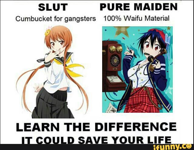 Your waifu is a slut