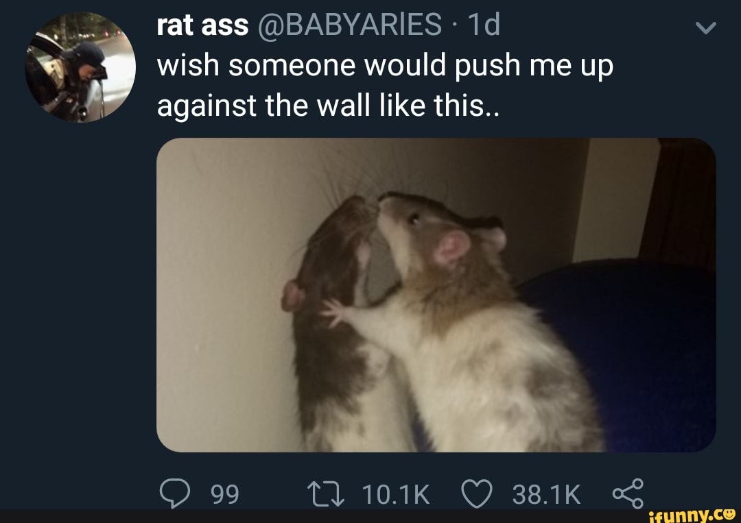 Rat ass @BABYARIES - 1d wish someone would push me up against the wall like  this.. - iFunny