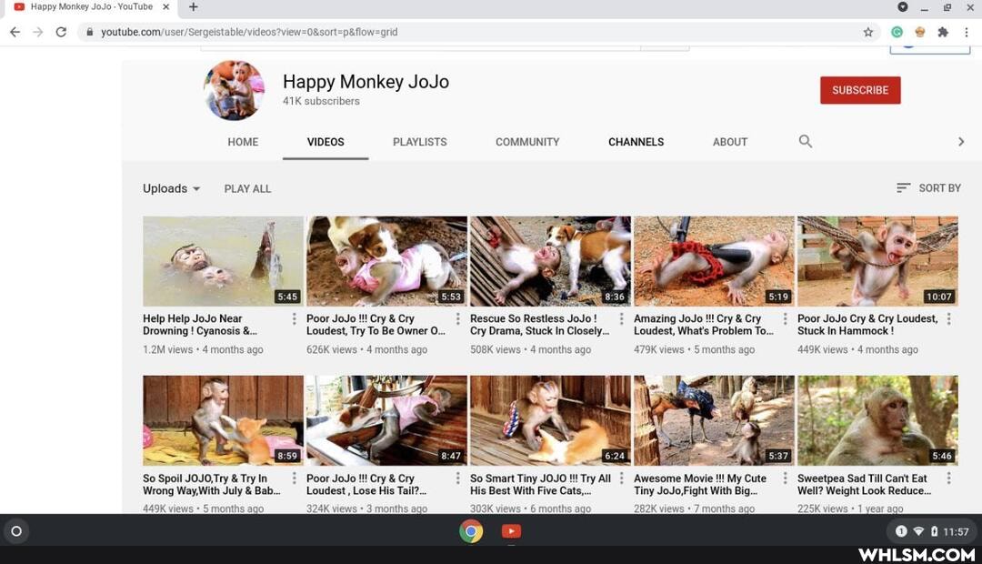 Happy Monkey JoJo-YouTube XX
Happy Monkey JoJo
subscribers
HOME VIDEOS PLAYLISTS COMMUNITY CHANNELS: ABOUT Q >
Uploads PLAY ALL
Help Help JoJo Near Poor JoJo Cry & Cry Rescue So Restless JoJo! Poor JoJo Cry Cry Loudest,
Drowning ! Cyanosis Loudest, Try To Be Owner Cry Drama, Stuck In Closely... Loudest, What's Problem To... _Stuck In Hammock
1.2M views 4 months ago 626K views 4 months ago 508K views 4 months ago 479K views + 5 months ago 449K views 4 months ago
Poor JoJo Cry & Cry Loudest,
Loudest, What's Problem To... Stuck In Hammock !
$0 Poor JoJo Cry & Cry So Smart Tiny JOJO! Try All Awesome Movie!!! My Cute Sweetpea Sad Till Cant Eat
Loudest , Lose His T His Best With Five Cats, Tiny JoJo,Fight With Big. Well? Weight Look Reduce..
6 months ago 282K views 7 months 225K views
So Spoil JOJO,Try & Try In
Wrong Way,With July & Bal
449K views 5 months ago 324K view:
s 3 months 303K vi