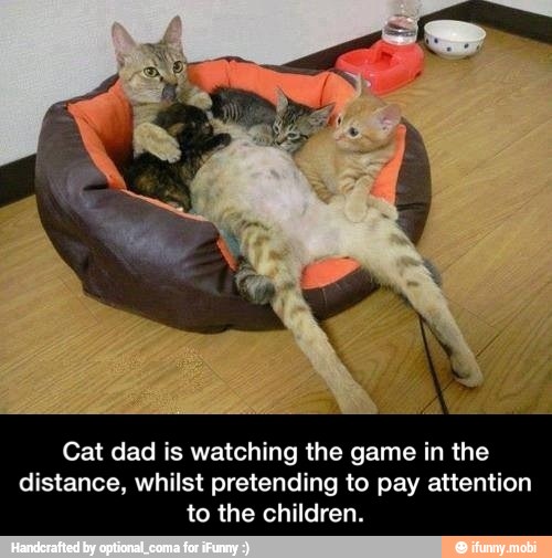Cat dad is watching the game in the
distance, whilst pretending to pay attention
to the children. - Cat dad is watching the game in the distance, whilst pretending to pay attention to the children.