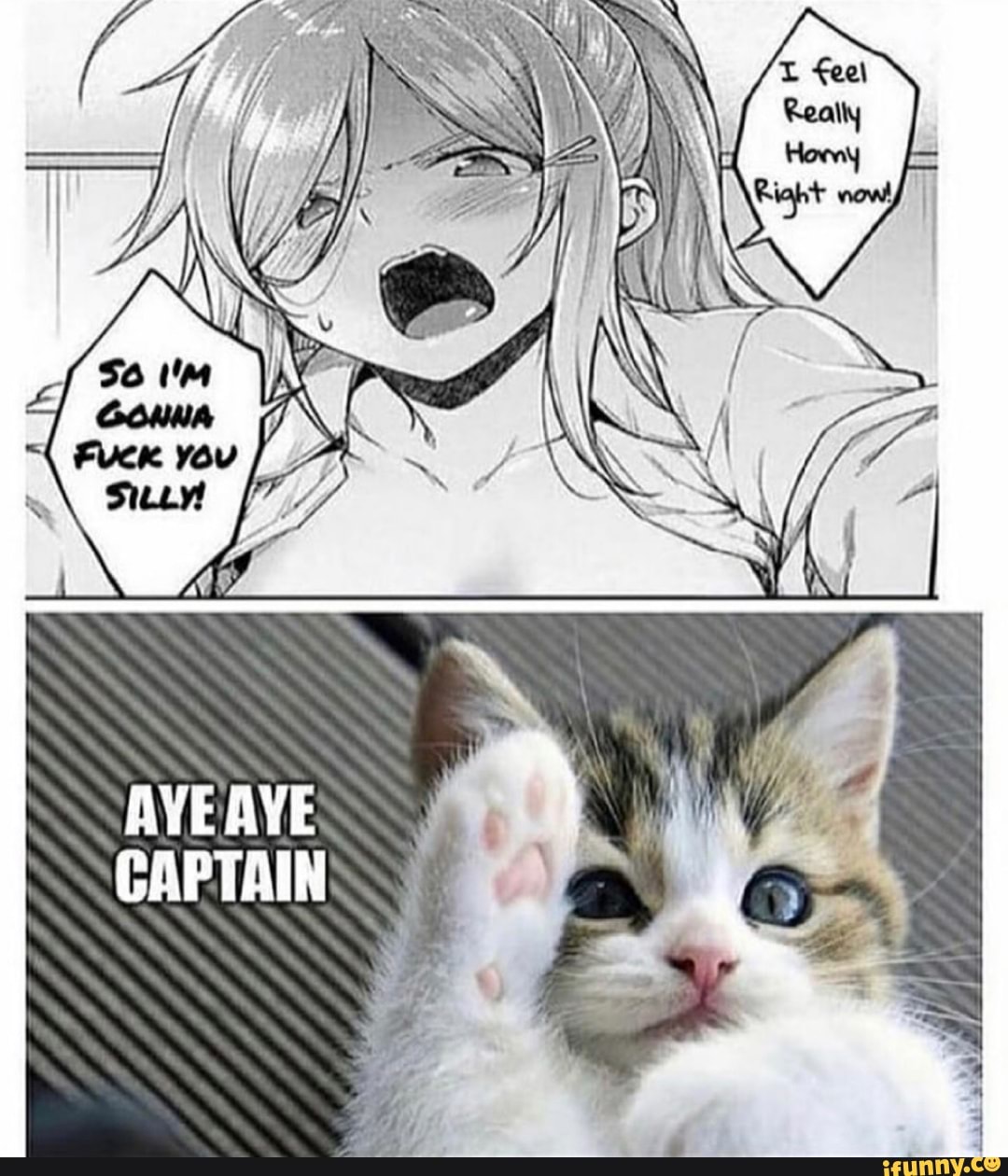 AVE AYE CAPTAIN