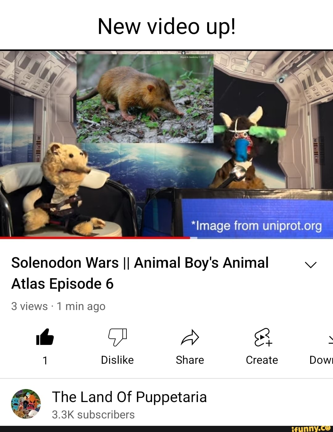 New video up! *Image from Solenodon Wars II Animal Boy's Animal Atlas  Episode 6 3 views 1 min ago th aA 1 Dislike Share Create The Land Of  Puppetaria  subscribers Dow 