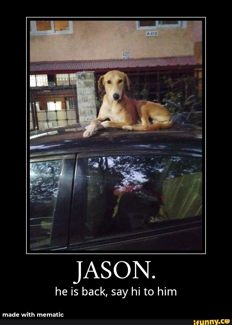 JASON. he is back, say hi to him - iFunny