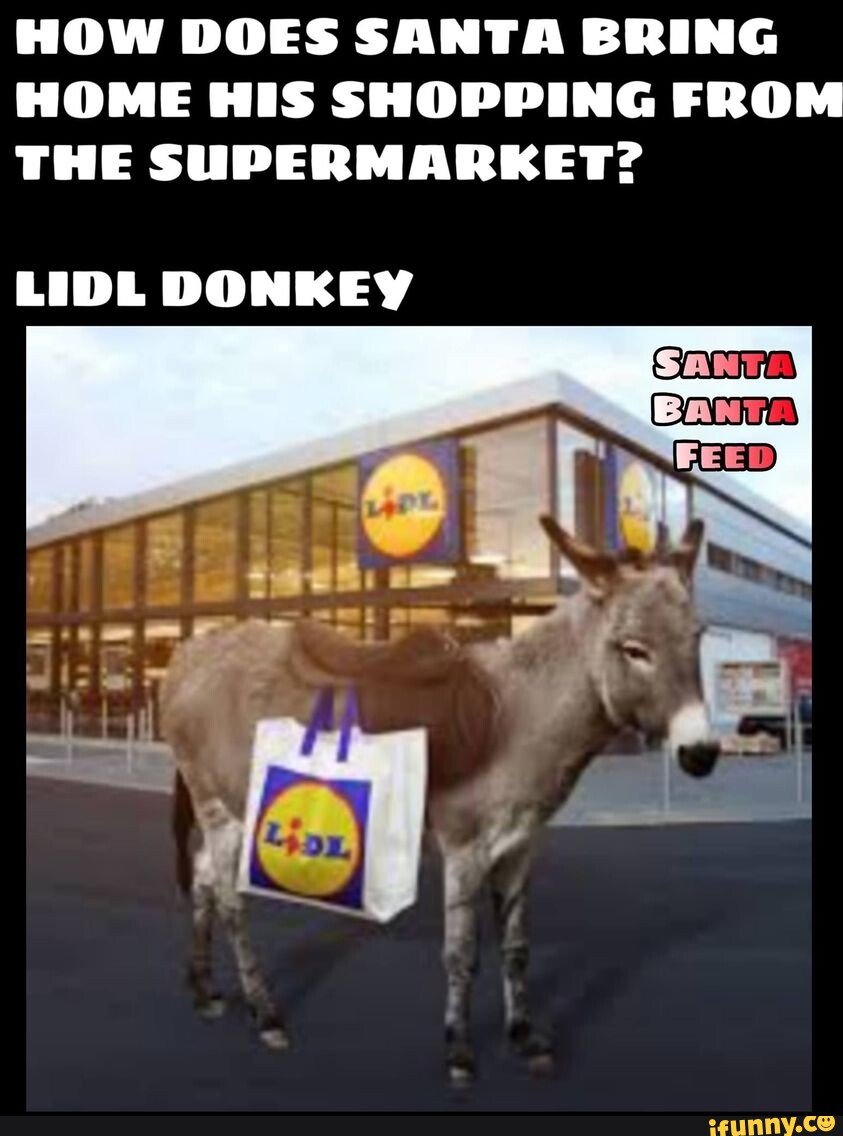 HOW DOES SANTA BRING HOME HIS SHOPPING FROM THE SUPERMARKET? LIDL