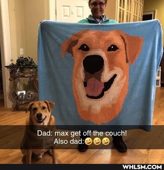 Dad: max get off the couch!
Also Also dad: