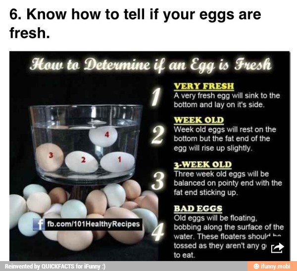 6. Know how to tell if your eggs are
fresh.
VERY FRESH
A very fresh egg will sink to the
bottom and lay on it's side.
WEEK OLD
Week old eggs will rest on the
bottom but the fat end of the
egg will rise up slightly.
3WEEK OLD
Three week old eggs will be