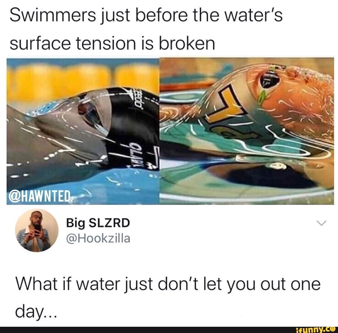 swimmers-just-before-the-water-s-surface-tension-is-broken-big-slzrd