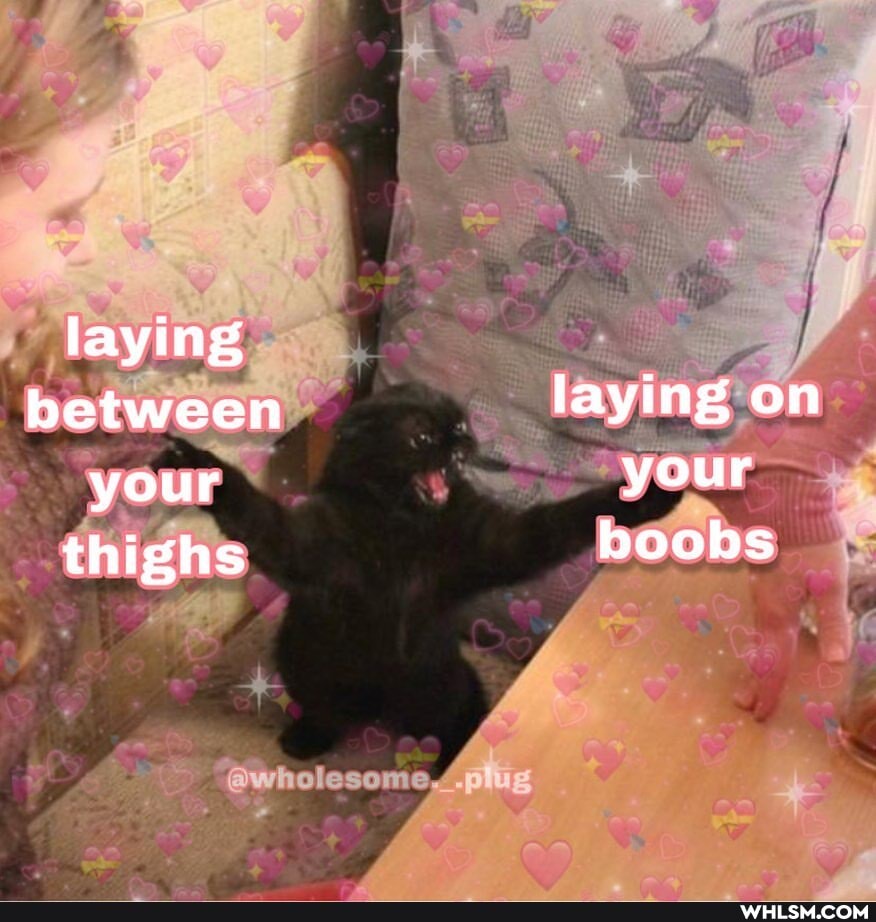laying between laying on your your thighs boobs