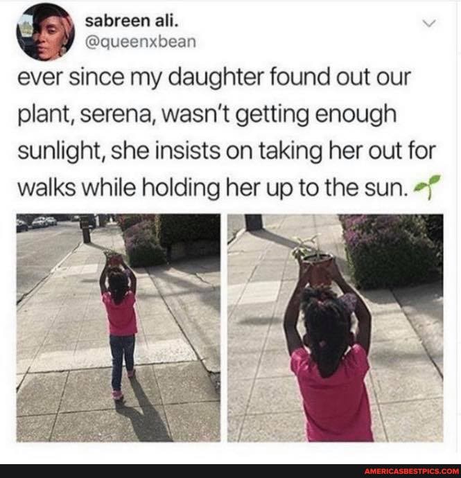 sabreen ali.
@queenxbean ever since my daughter found out our
plant, serena, wasn't getting enough sunlight, she insists on taking her out for
walks while holding her up to the sun.