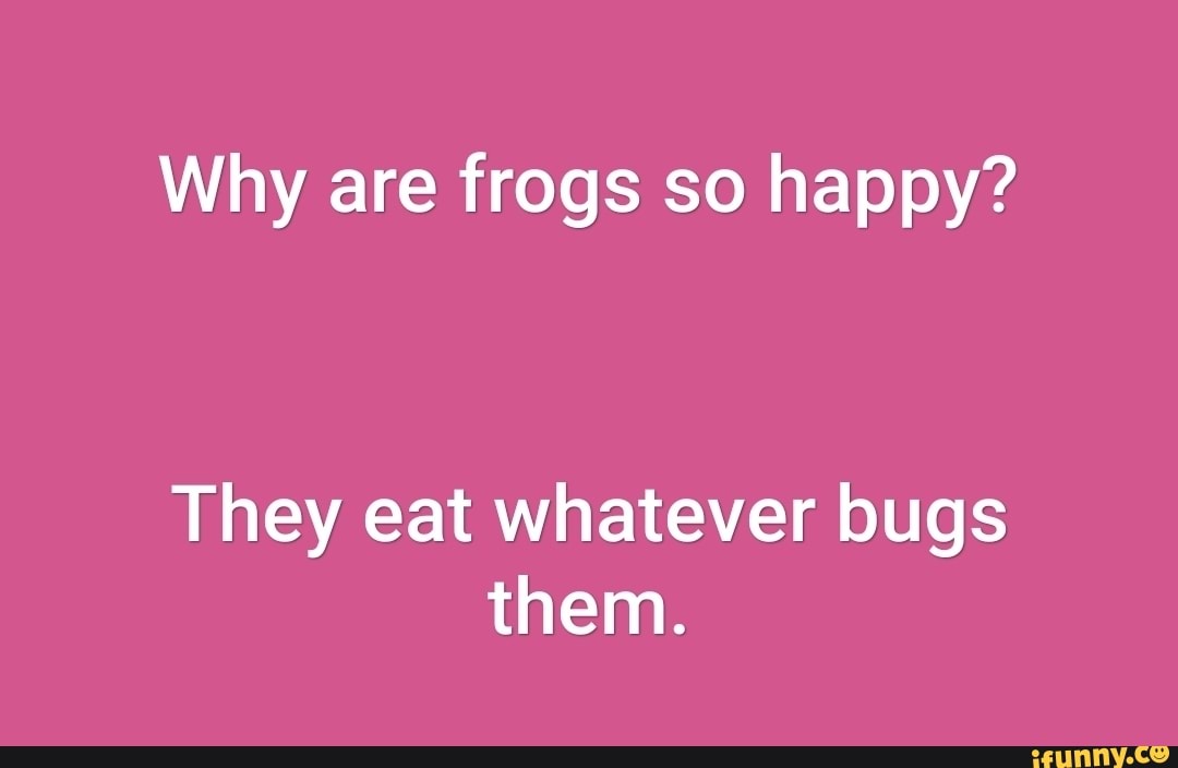 Why are frogs so happy? They eat whatever bugs them. - iFunny