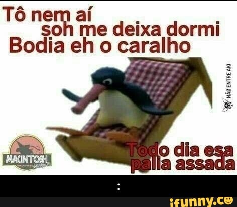 Tô nem aí me deixa dormi
Bodia eh o caralho
não eree
a assada - :