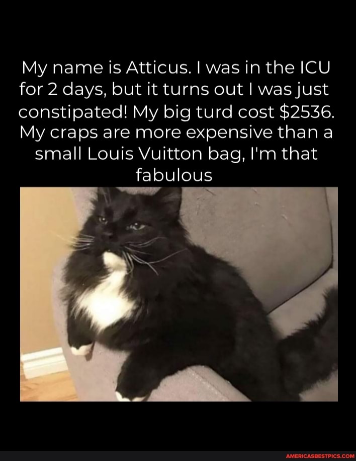 My name is Atticus. I was in the ICU for 2 days, but it turns out I was just constipated! My big turd cost $2536.
My craps are more expensive than a small Louis Vuitton bag, I'm that fabulous