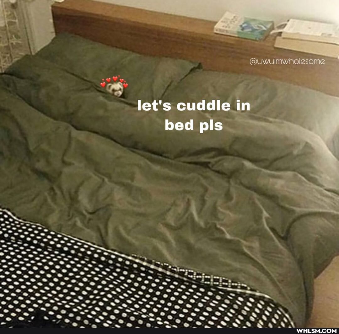 let's cuddle in bed pls