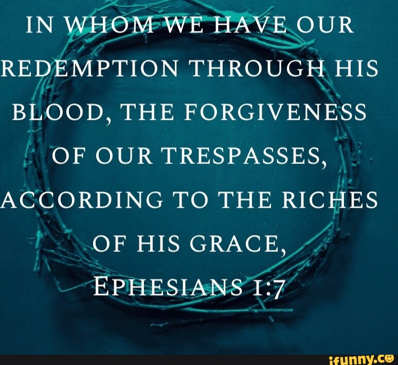 IN WHOM WE HAVE OUR REDEMPTION THROUGH HIS BLOOD, THE OF