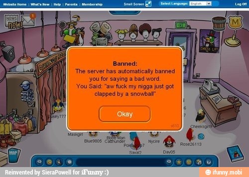 'The server has automaticaly banned
you for saying a bad word,
'You Said: "aw fuck my nigga just got
clapped by a snowball"