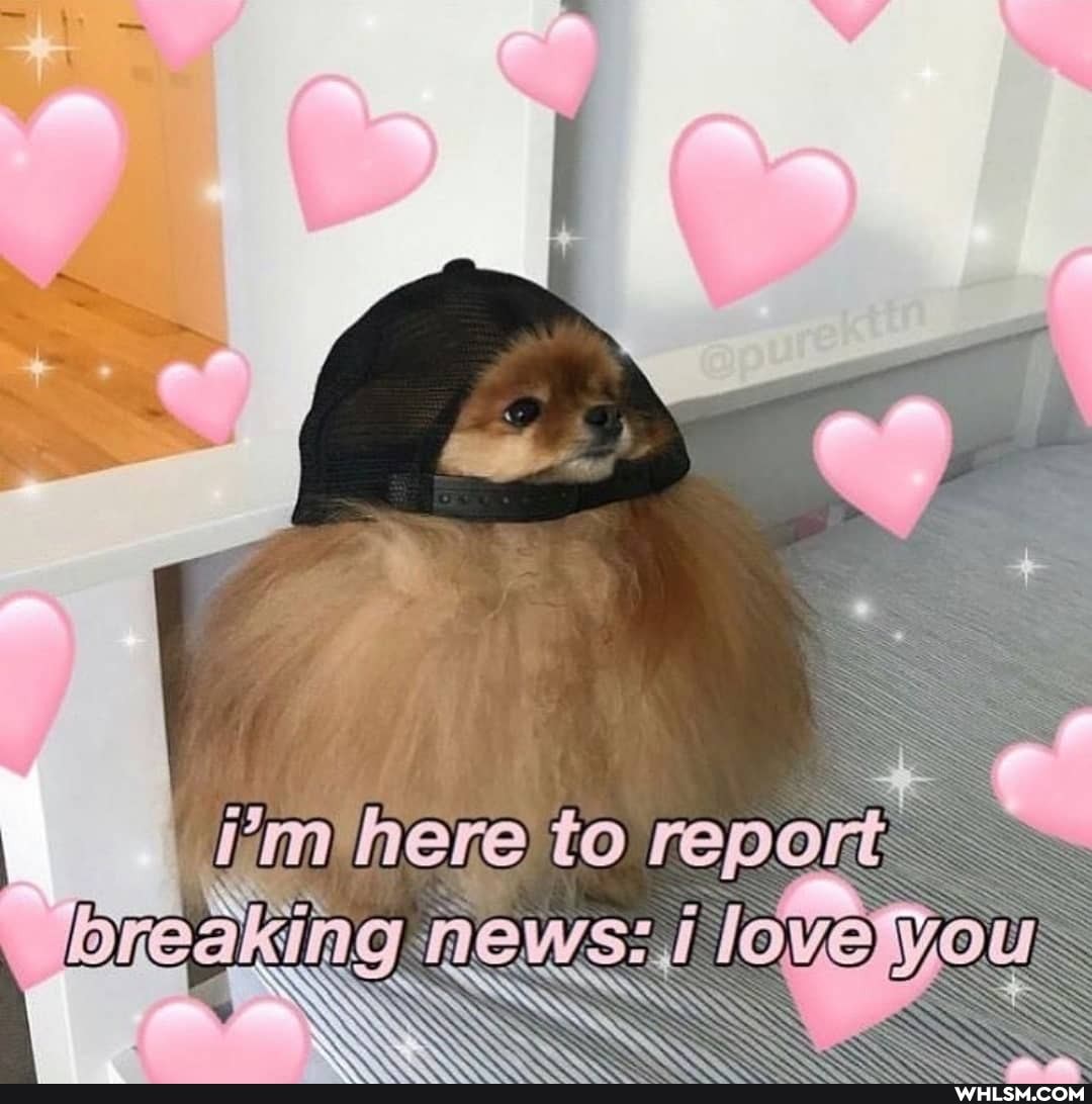 iimihere to report brea aking love SS
NAN