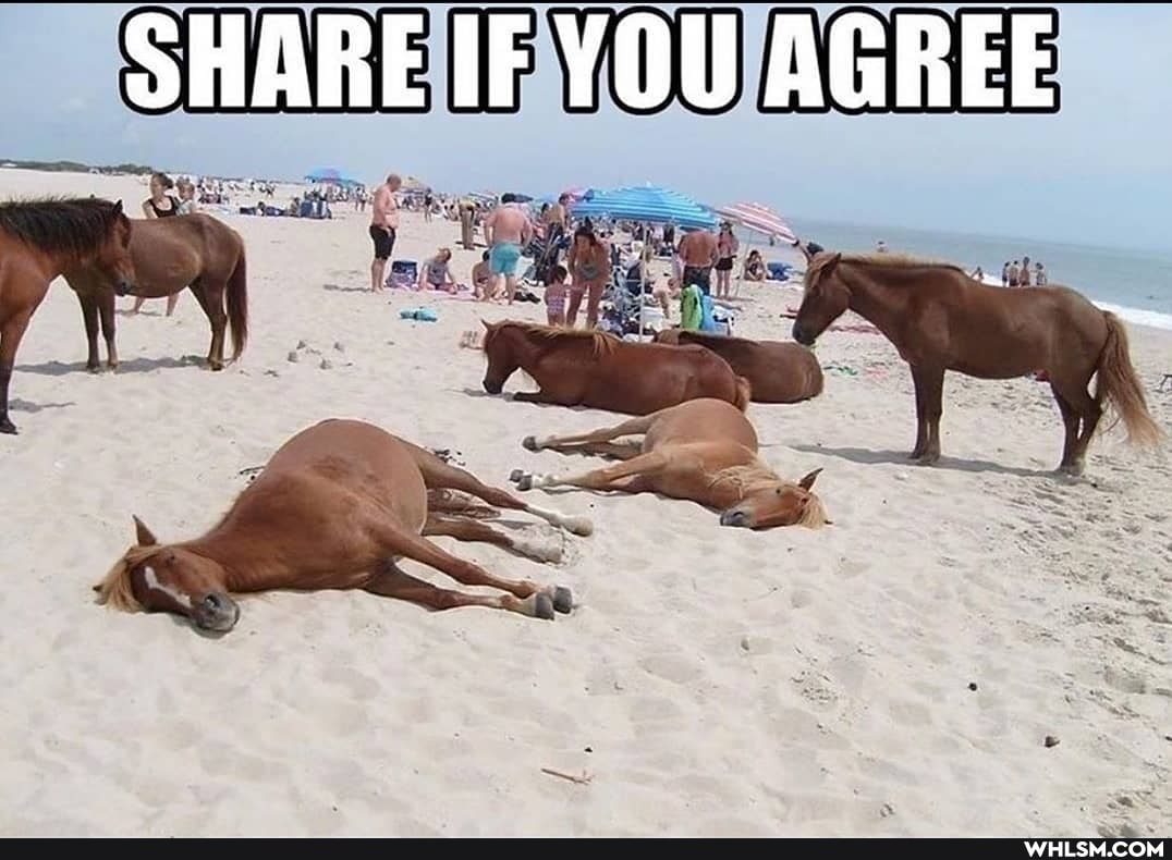 SHARE IF YOU AGREE