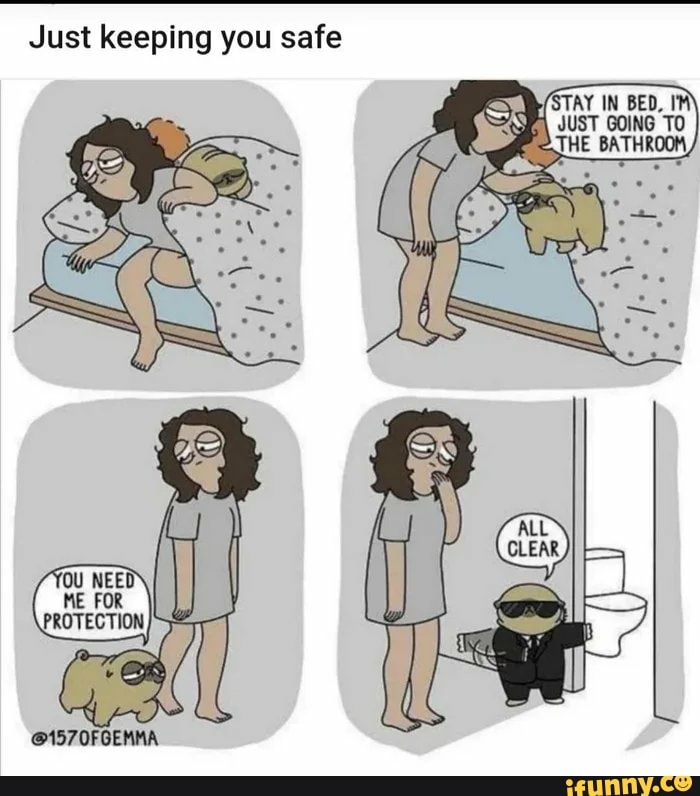 Just keeping you safe