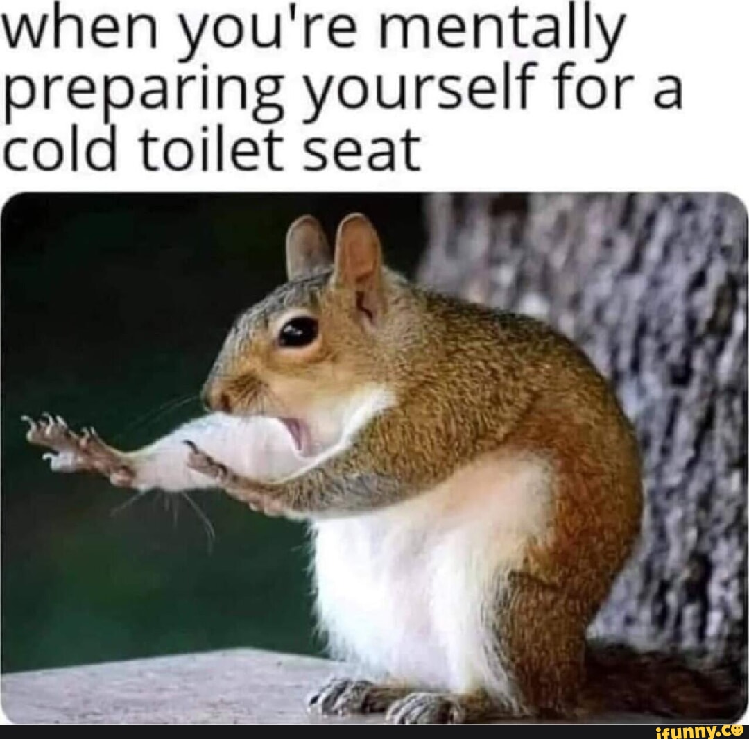 When you're mentally preparing yourself for a cold toilet seat - iFunny