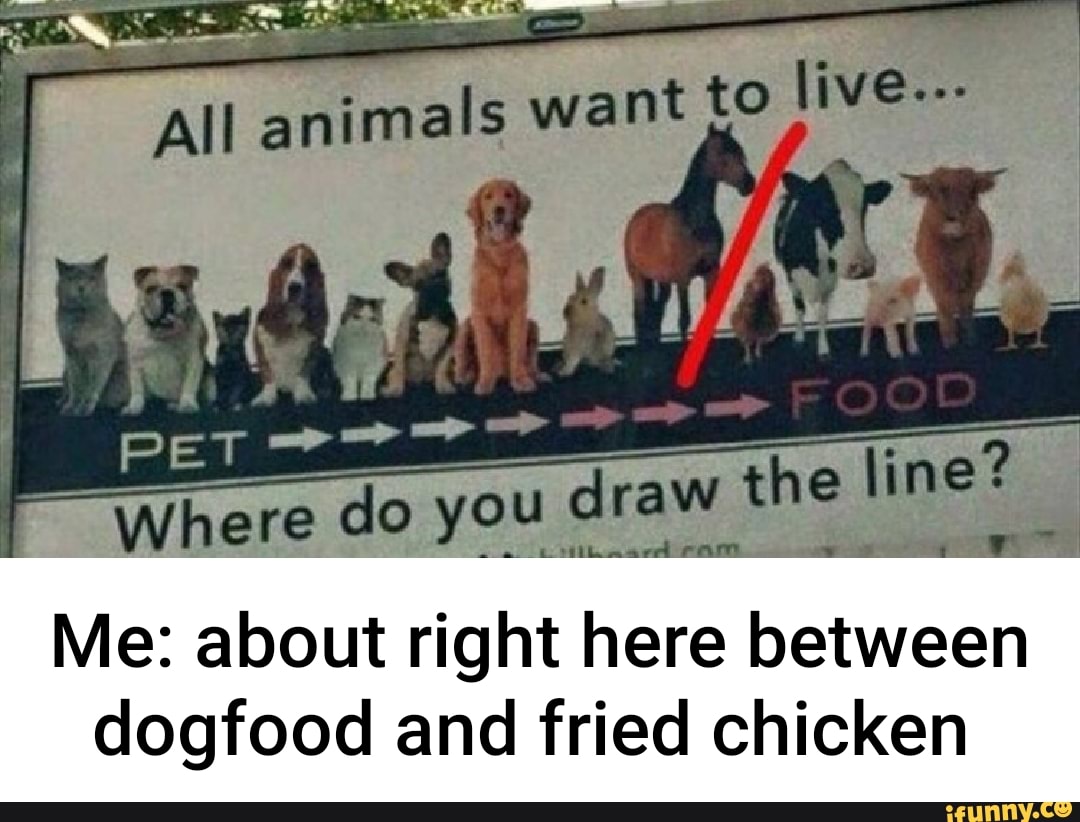 Where do you draw the line Me about right here between dogfood and