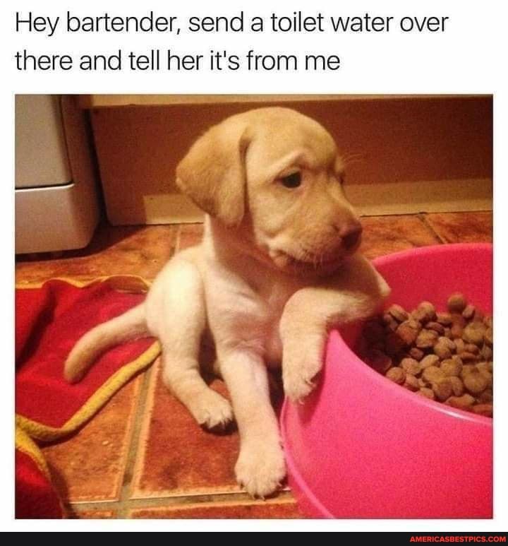 Hey bartender, send a toilet water over there and tell her it's from me