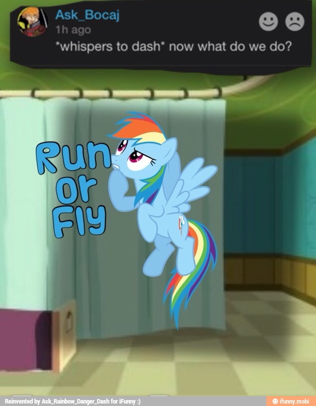 *whispers to dash* now what do we do?