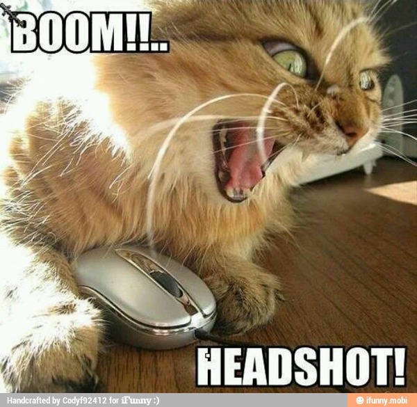 Se
"HEADSHOT!