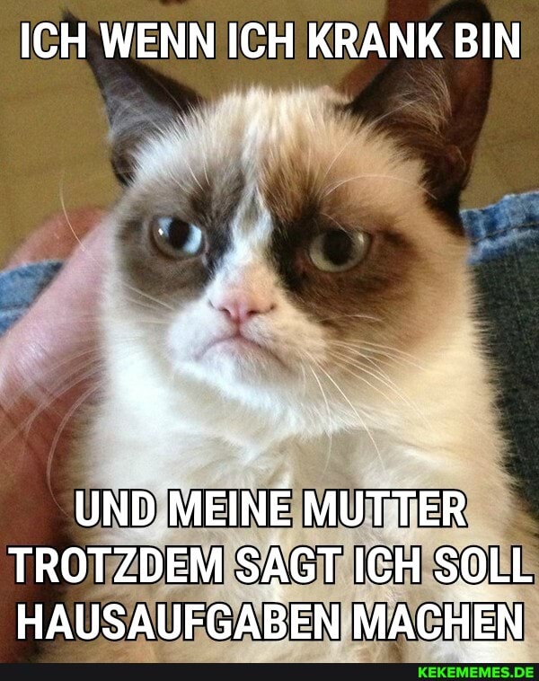 ICH WENN ICH KRANK BIN
UND MEINE MUTTER TROTZDEM SAGT ICH SOLL HAUSAUFGABEN MACHEN