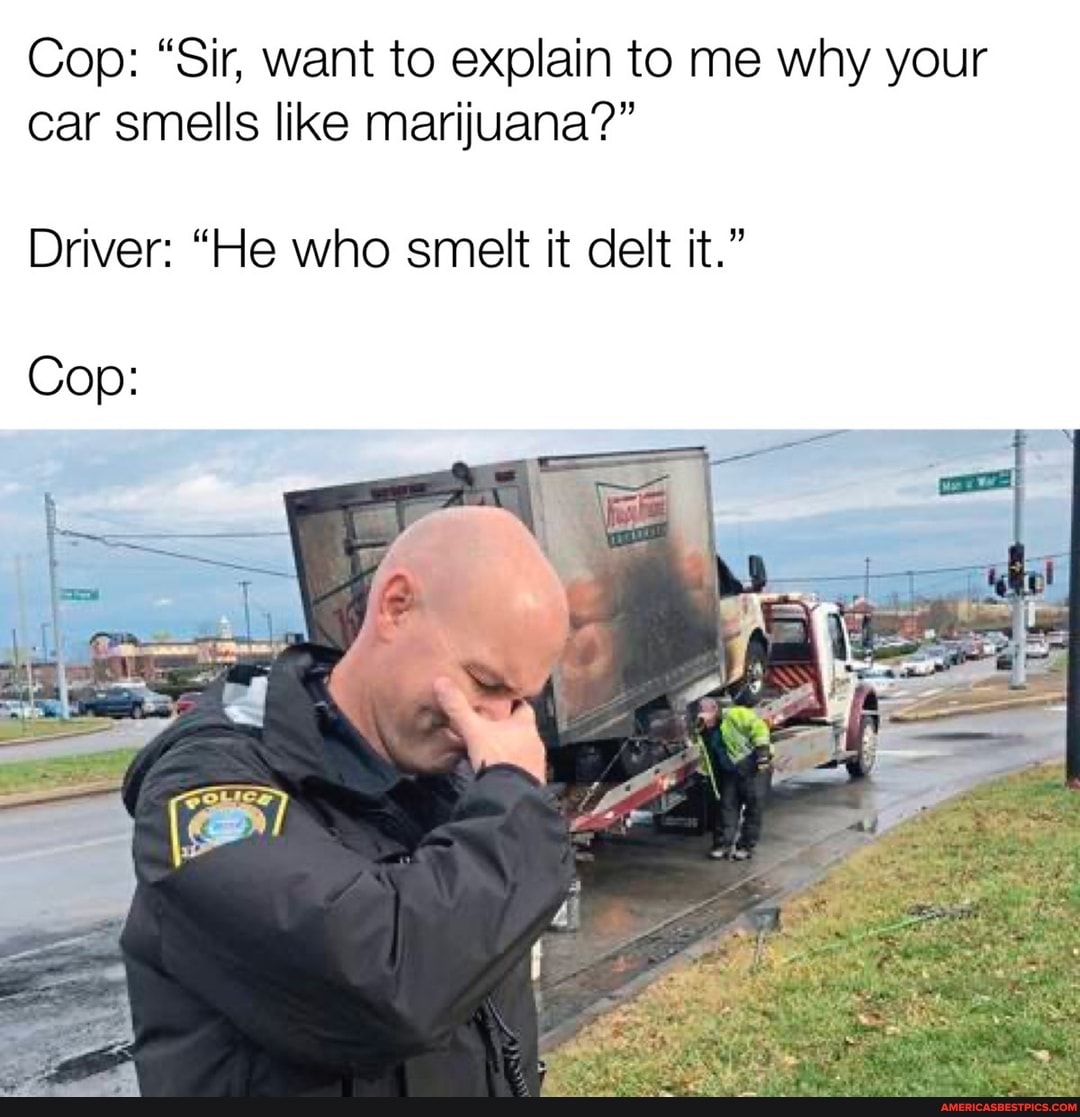 Cop: "Sir, want to explain to me why your car smells like marijuana?"
Driver: "He who smelt it delt it."
Cop: