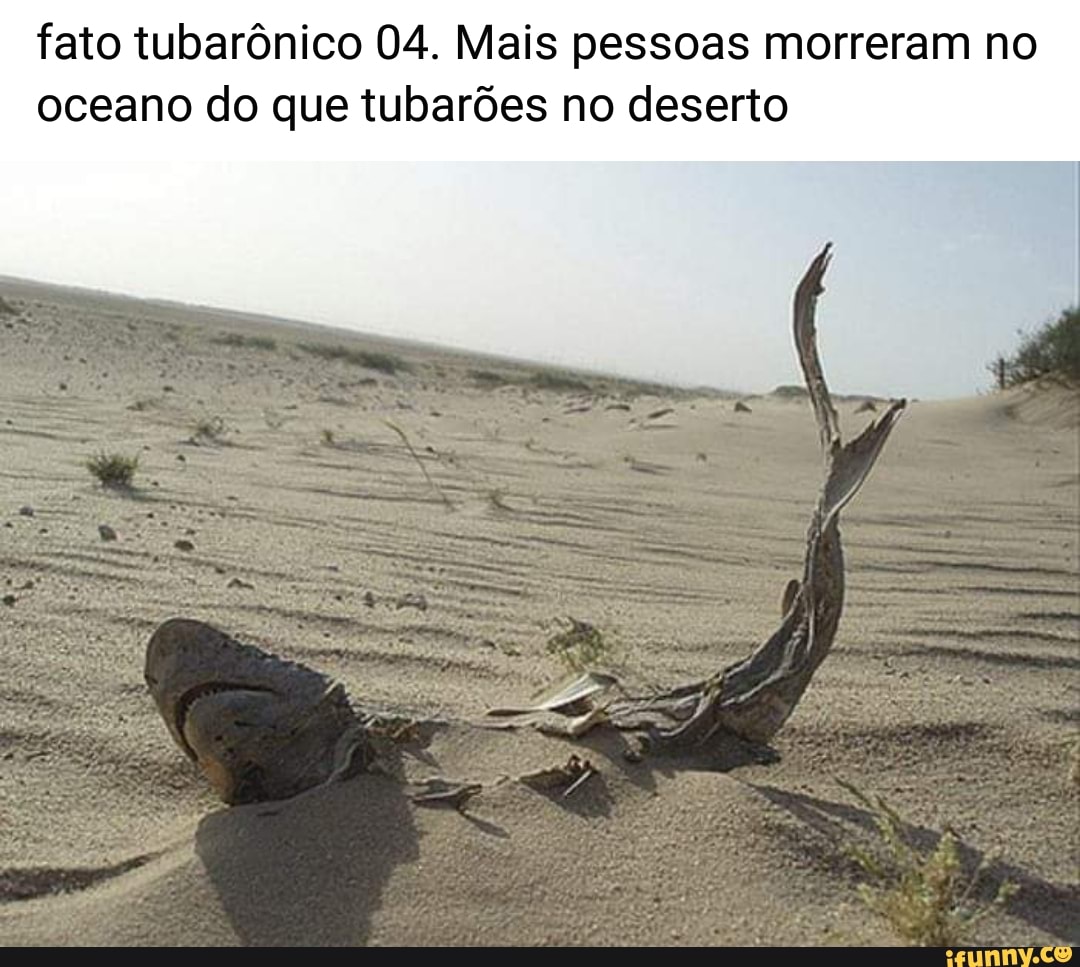 fato tubarônico 04. Mais pessoas morreram no oceano do que tubarões no deserto