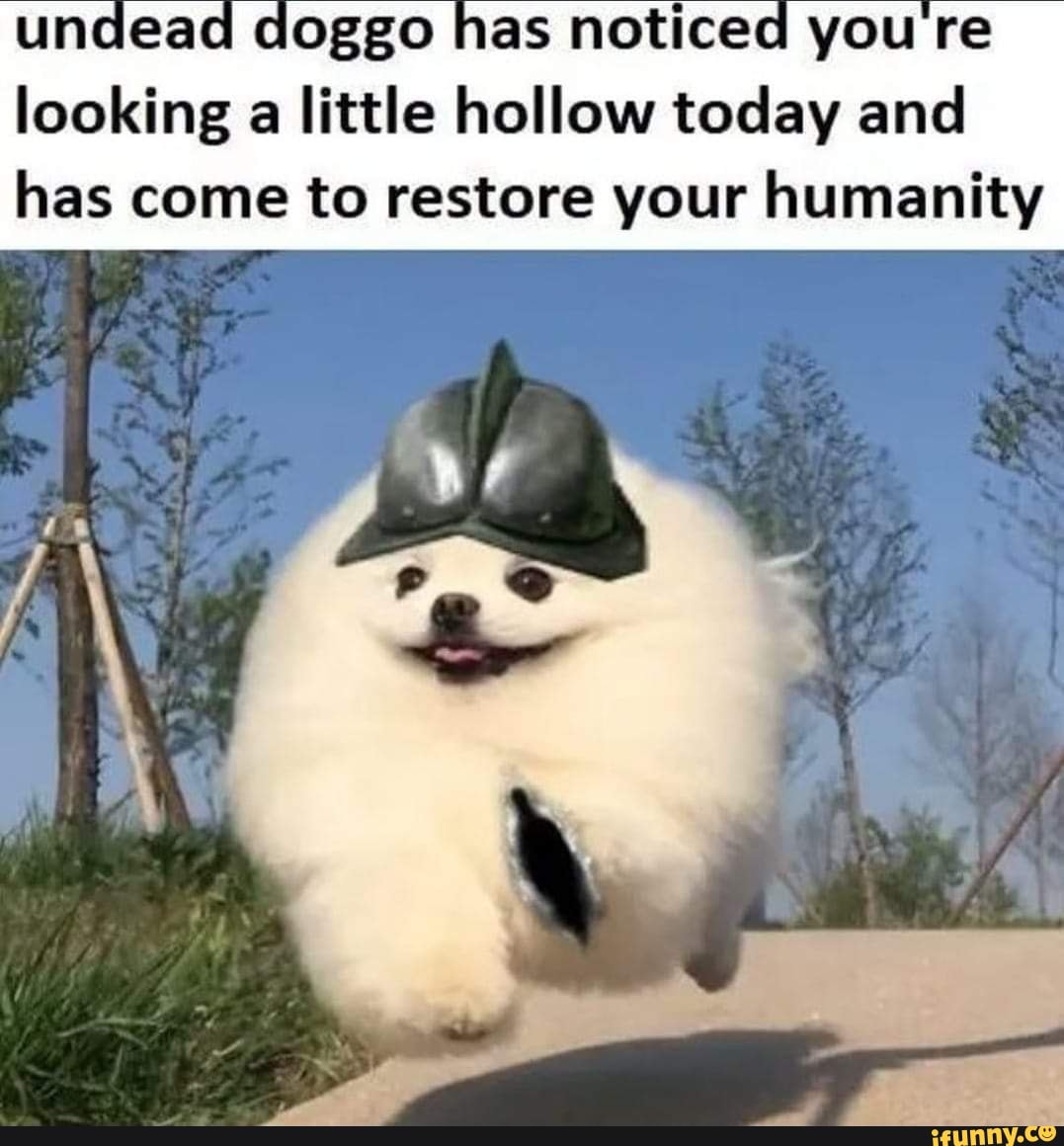 undead doggo has noticed you re looking a little hollow today and has come to restore your humanity