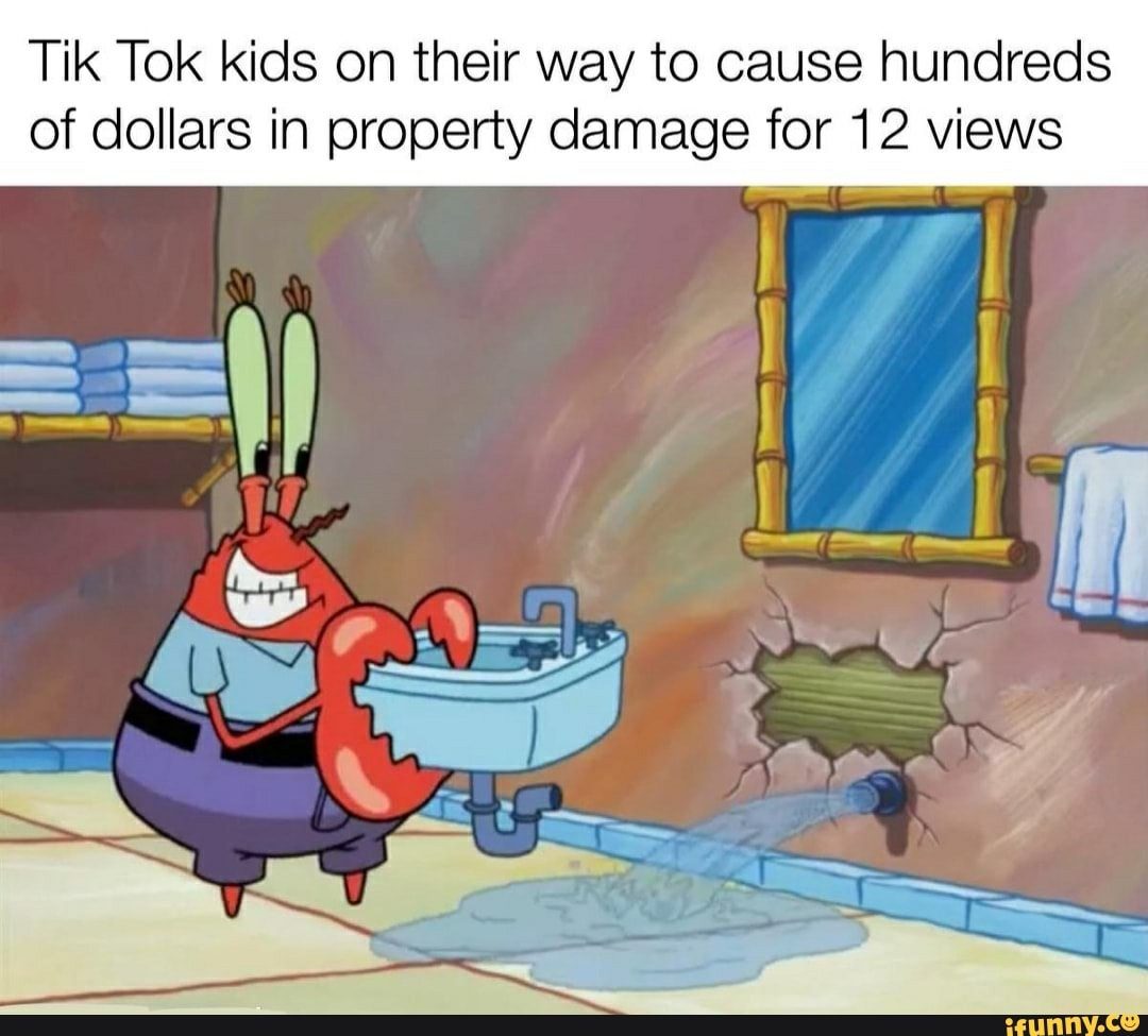 Tik Tok kids on their way to cause hundreds of dollars in property