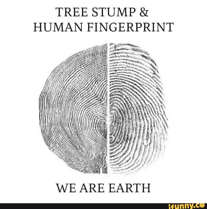 Fingerprint memes. Best Collection of funny Fingerprint pictures on iFunny