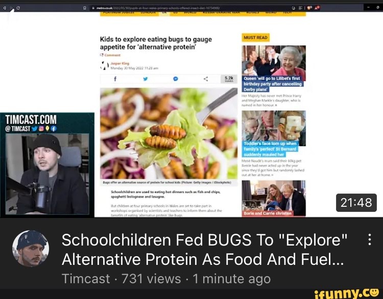 Kids to explore eating bugs to gauge appetite for 'alternative protein
