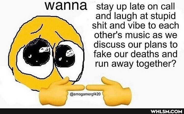 wanna stay up late on call and laugh at stupid shit and vibe to each other's music as we discuss our plans to fake our deaths and run away together?
@emogamergt420