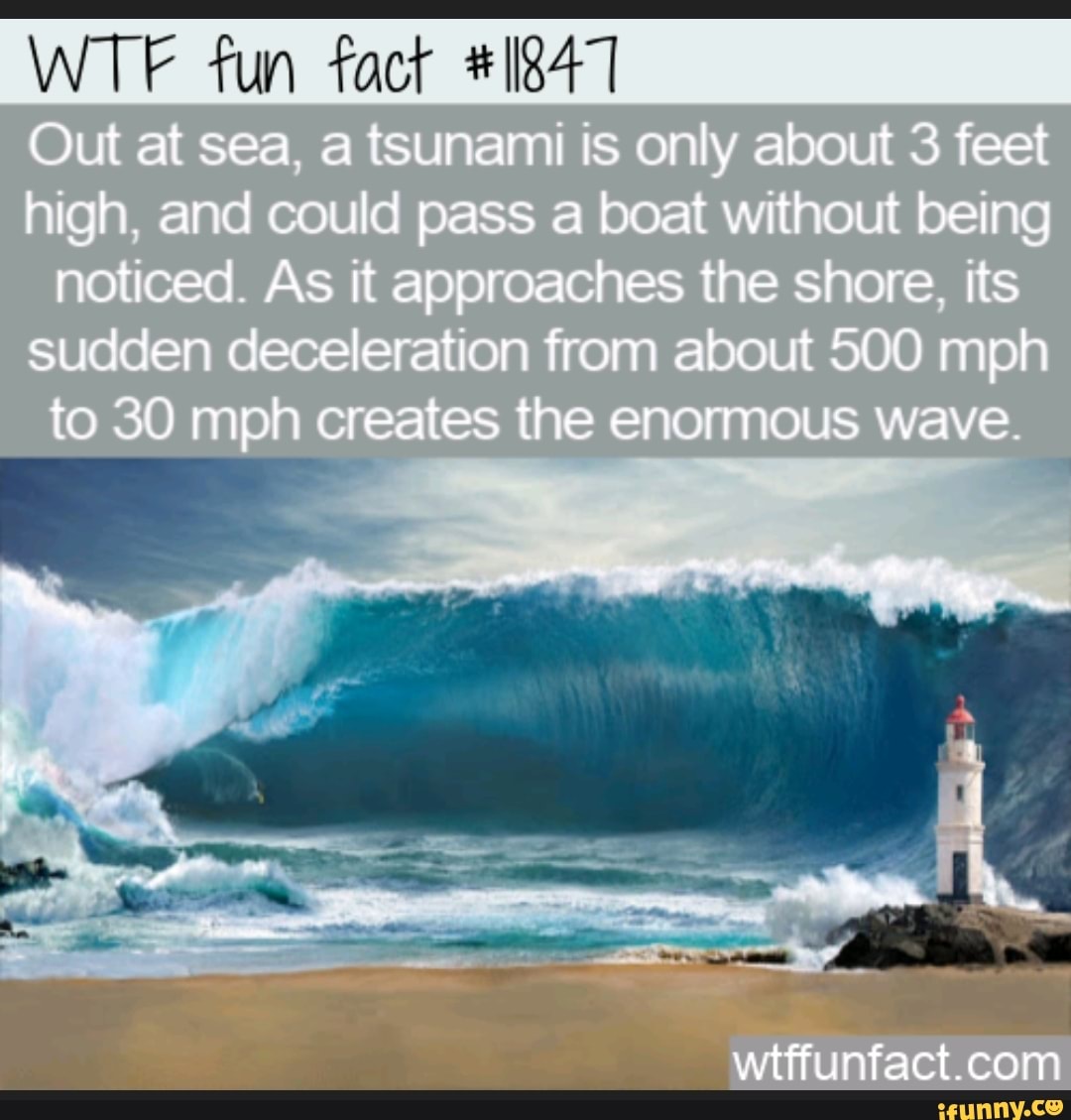 Big tsunami meme