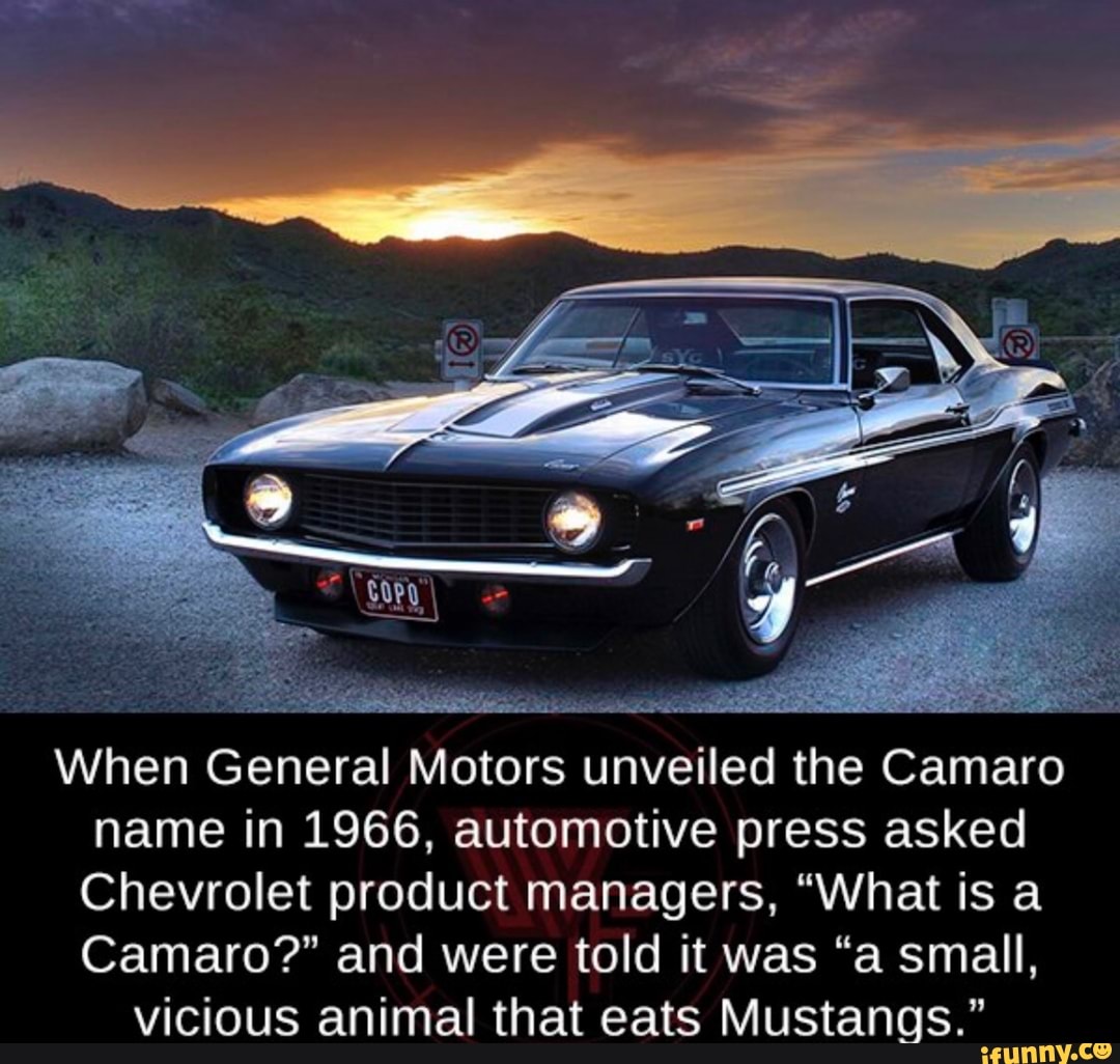When General Motors unveiled the Camaro name in 1966, automotive press  asked Chevrolet product managers, “What is a Camaro?