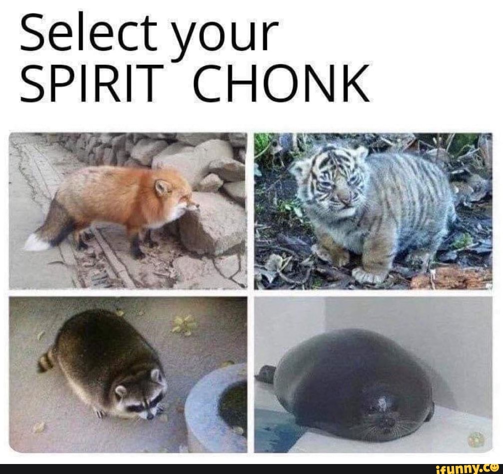 Select your
SPIRIT CHONK